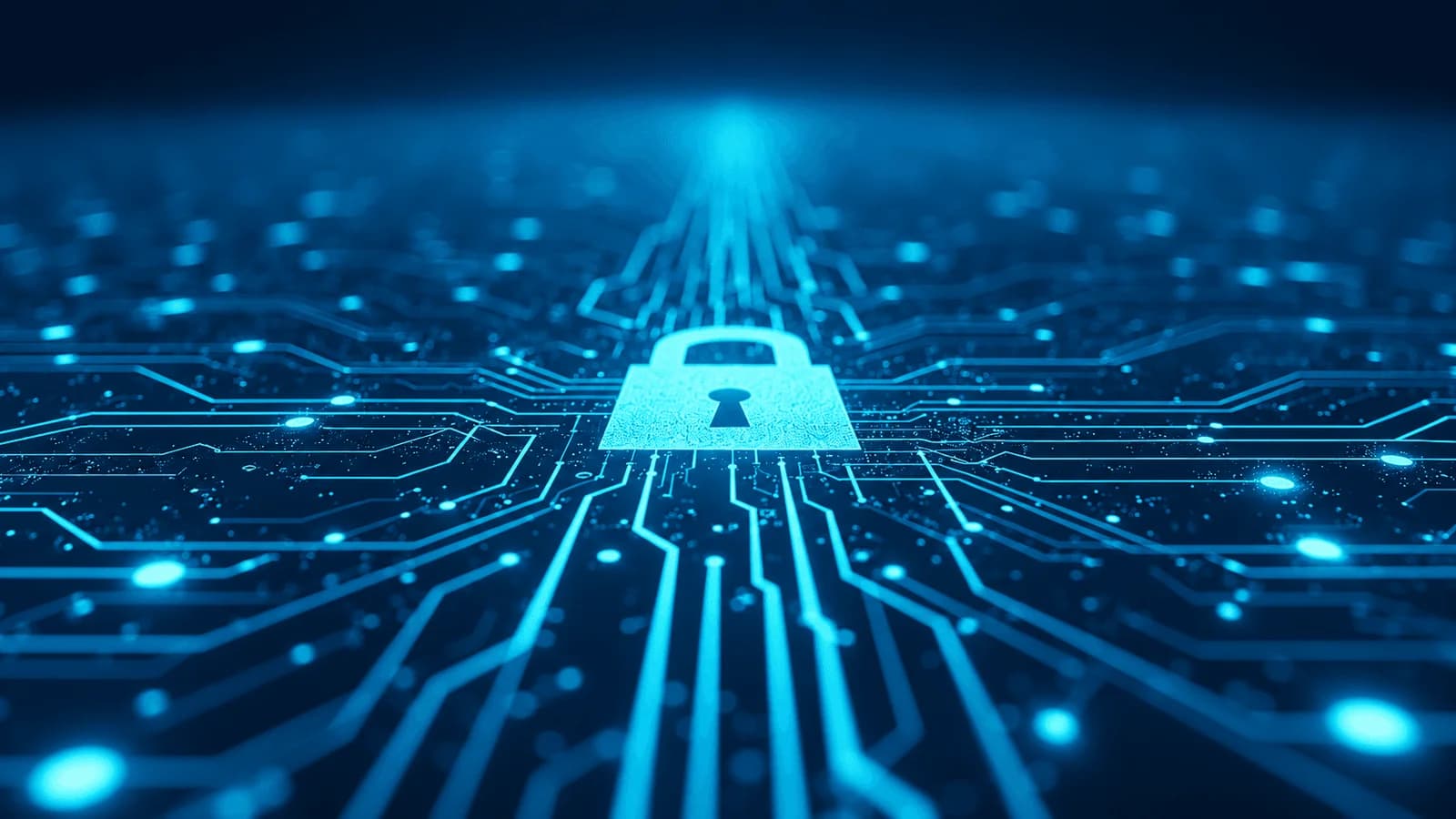 Defense & Security